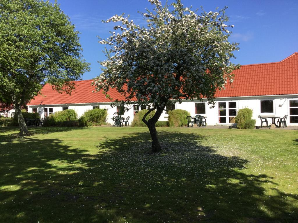 Gammelgaard Feriecenter Laeso Dış mekan fotoğraf
